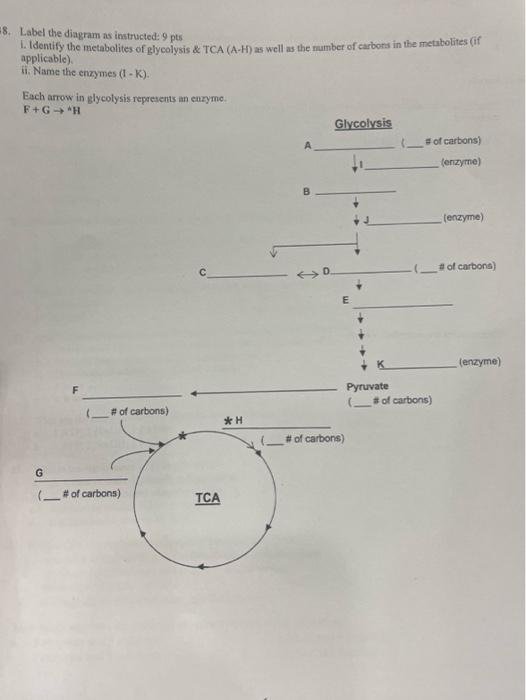 Solved 27 The Following Diagram Shows Four Different Stages Chegg Com