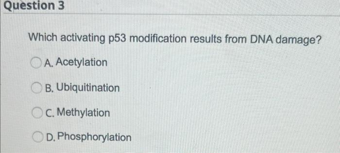 Solved Question 3 From This Text Activated P53 Binds Dna Chegg Com