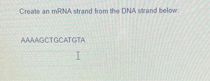 Solved What Would Be The Mrna Strand If The Dna Strand Chegg Com