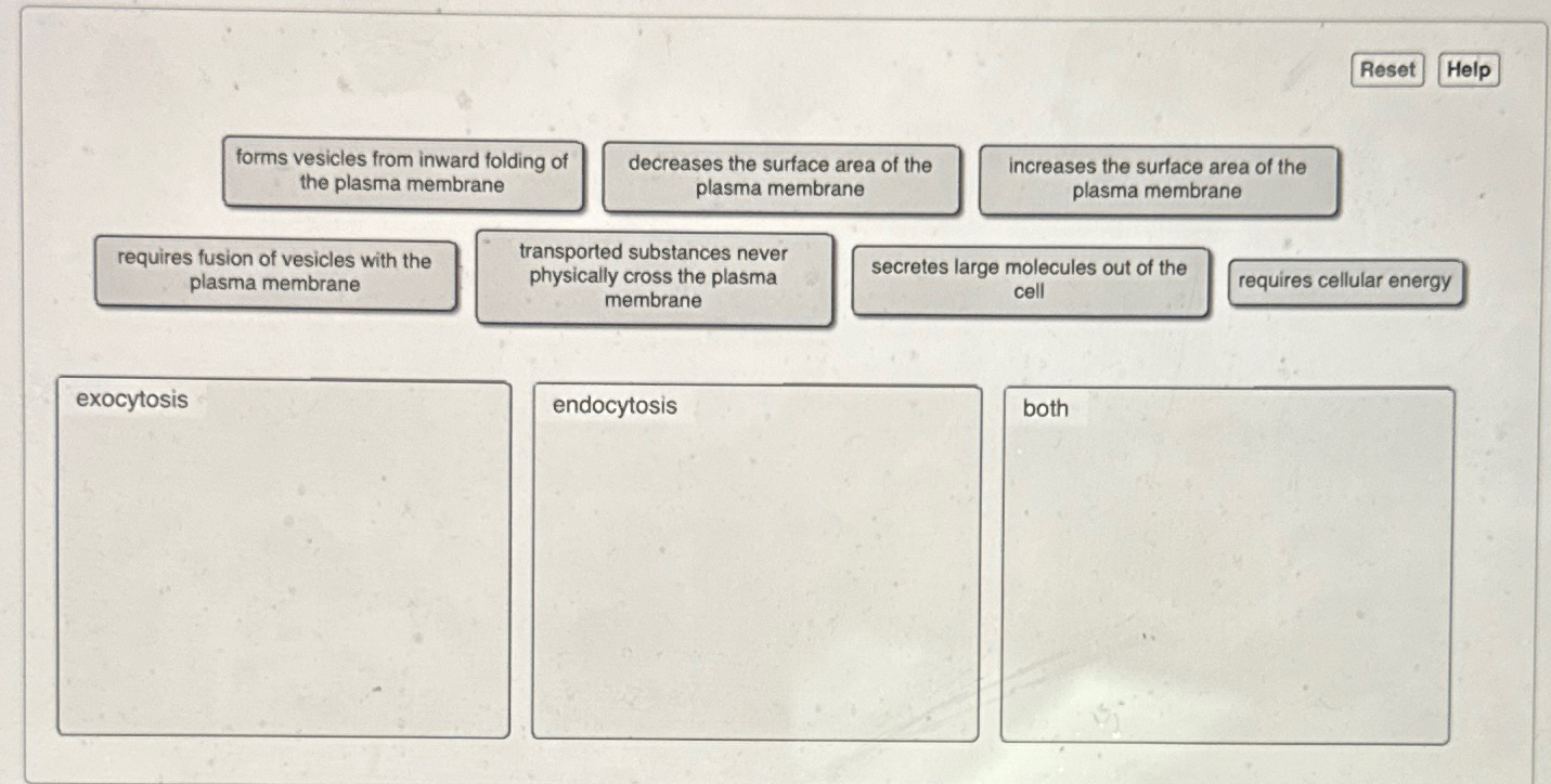 Solved Requires Fusion Of Vesicles With The Plasma Chegg Com