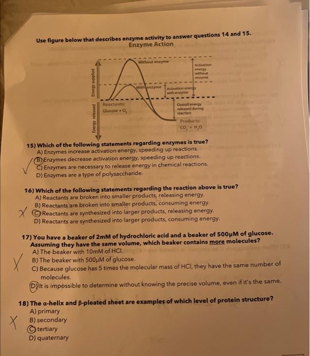 Solved Question 16 The Enzyme Is Designed To Bind The Chegg Com