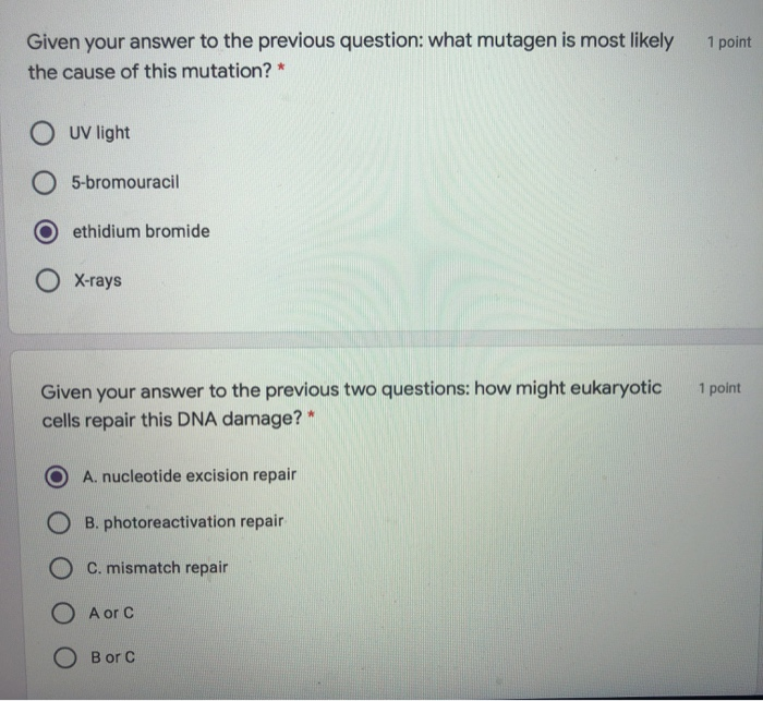 Solved Tools Of Genetics Part 5 Dna Fingerprinting 5 Pt Chegg Com