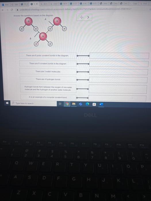 Solved A Researcher Conducted A Southern Blot Analysis To Chegg Com