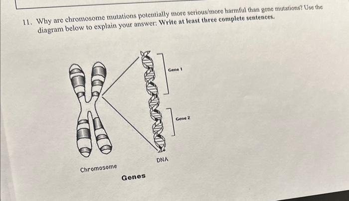 Solved E 4 Points The Mutant Chromosome That Results In Chegg Com