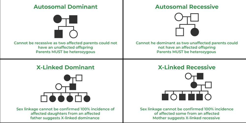 Dominant Negative Fez1 Disrupts Kinesin 1 Transport Of Jip1 A D