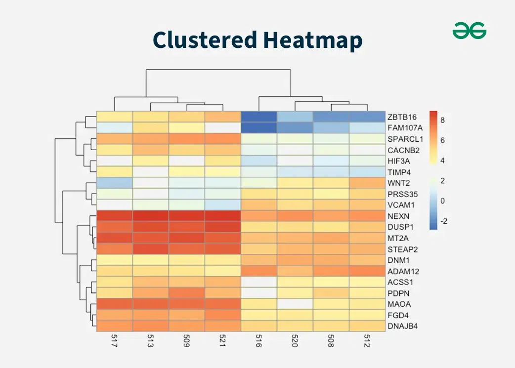 Heatmap Showing The Relative Abundance And Distribution Of Class Based
