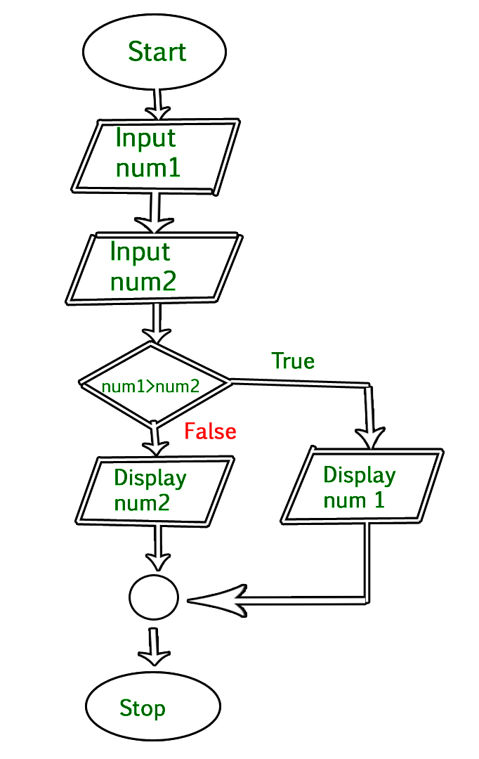 Flowchart Summarizing Genetic Testing Workflow In Cases That Underwent