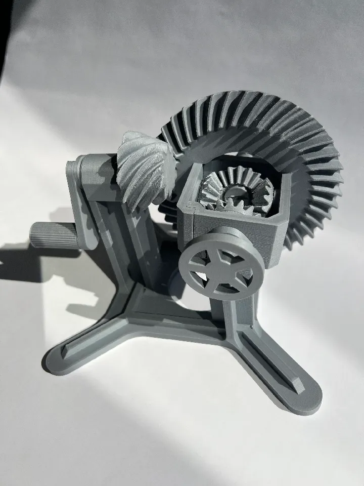 Summary Of The Differently Expressed Clones By Differential Display