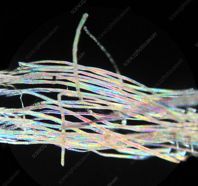 Overview Of The Investigated Flax And Hemp Fibers The Fibers Are