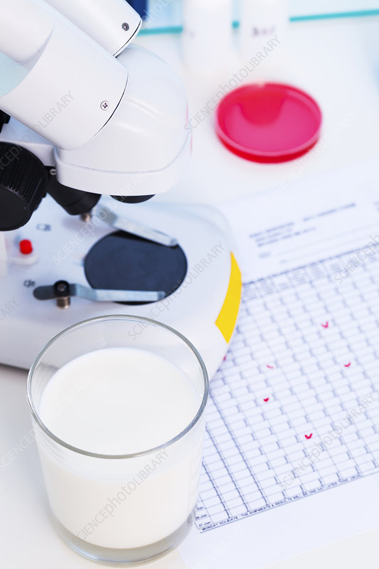 Role Of Chemistry In Food