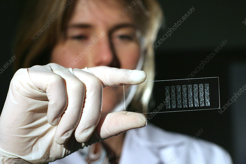 Advanced Practical Genetics Microarray 203 305