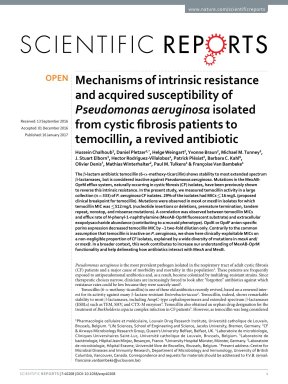 Scheme Of The Pseudomonas Aeruginosa Iron Homeostasis Mechanisms Under