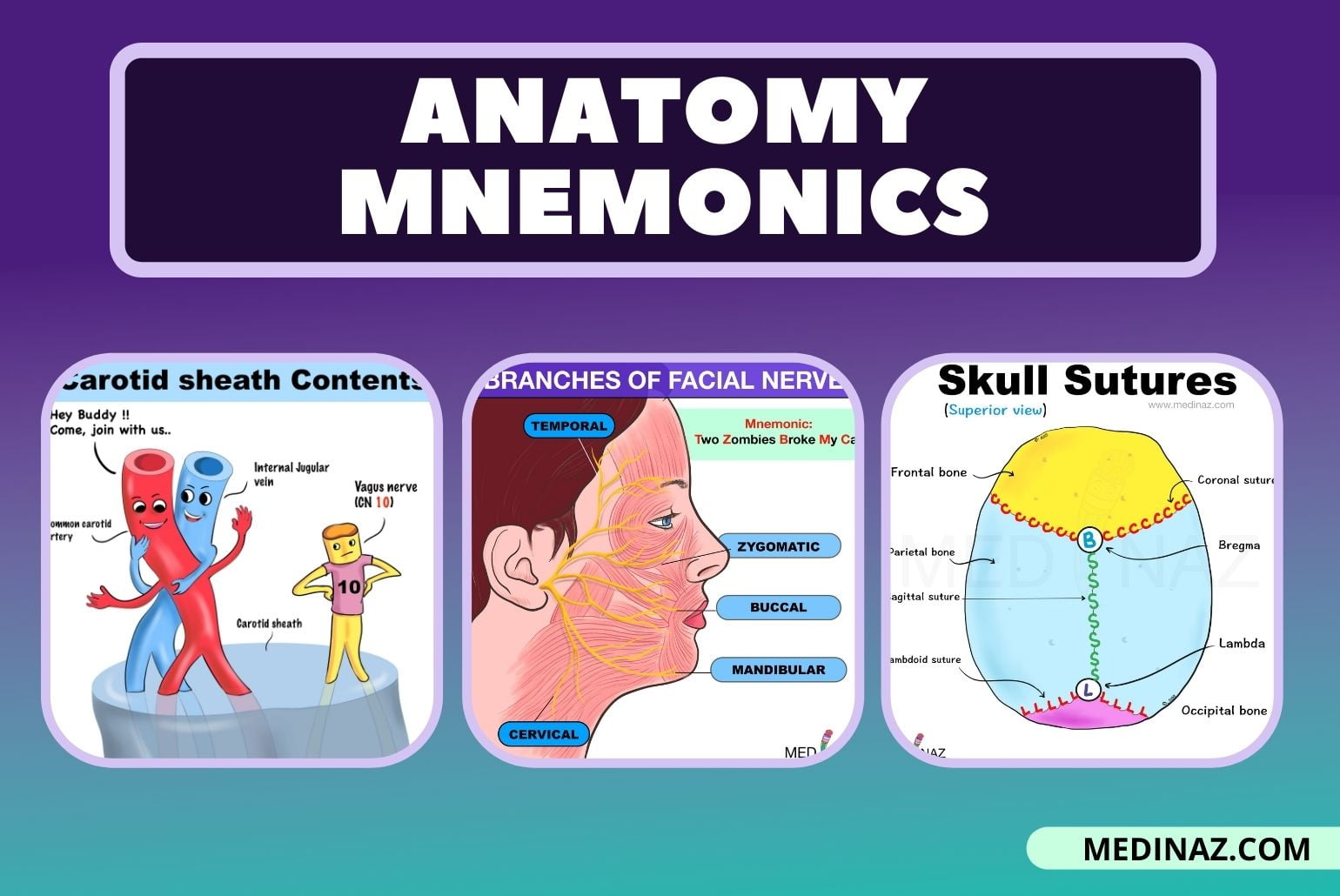 Mnemonics Hi Res Stock Photography And Images Alamy