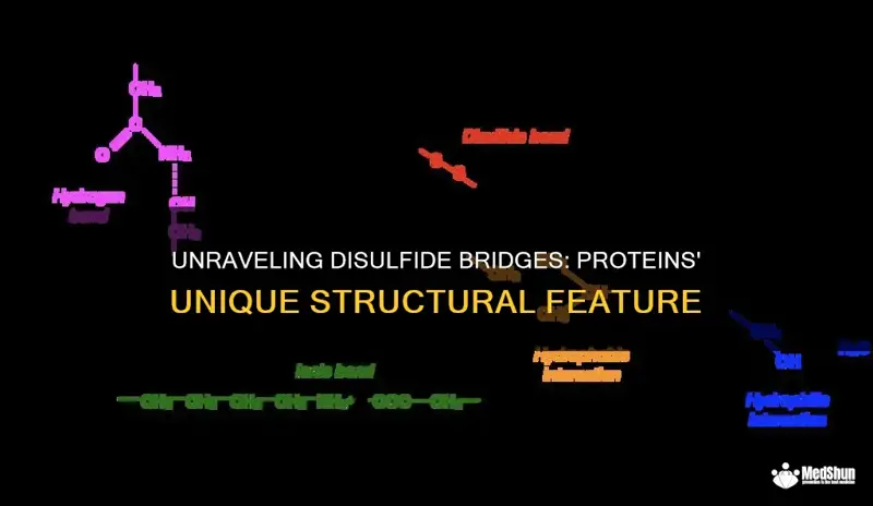 Sandwalk Disulfide Bridges Stabilize Folded Proteins