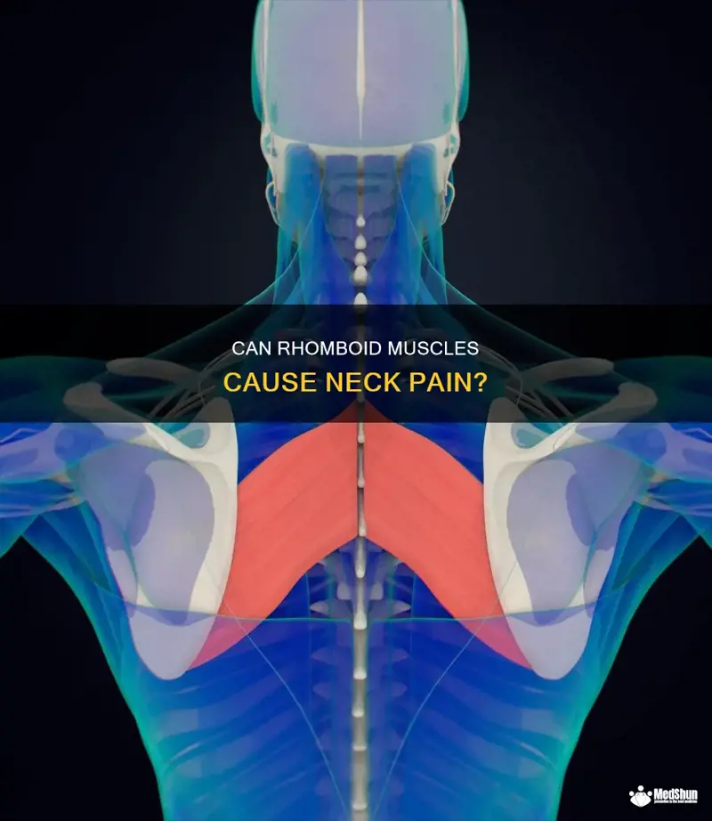 Rhomboid Protease Enzyme Photograph By Laguna Design Pixels