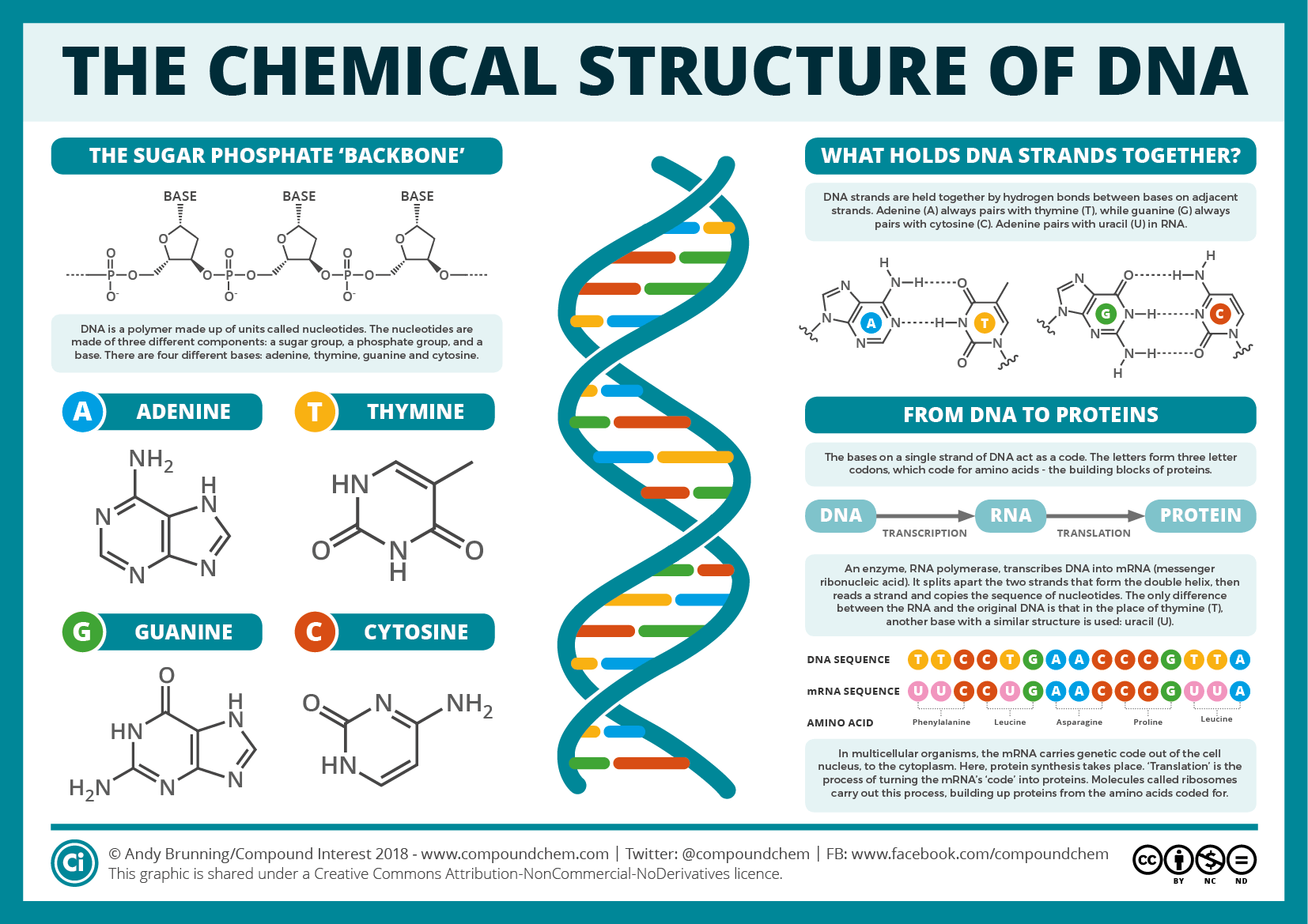 Structure Guided Development Of Affinity Probes For Tyrosine Kinases