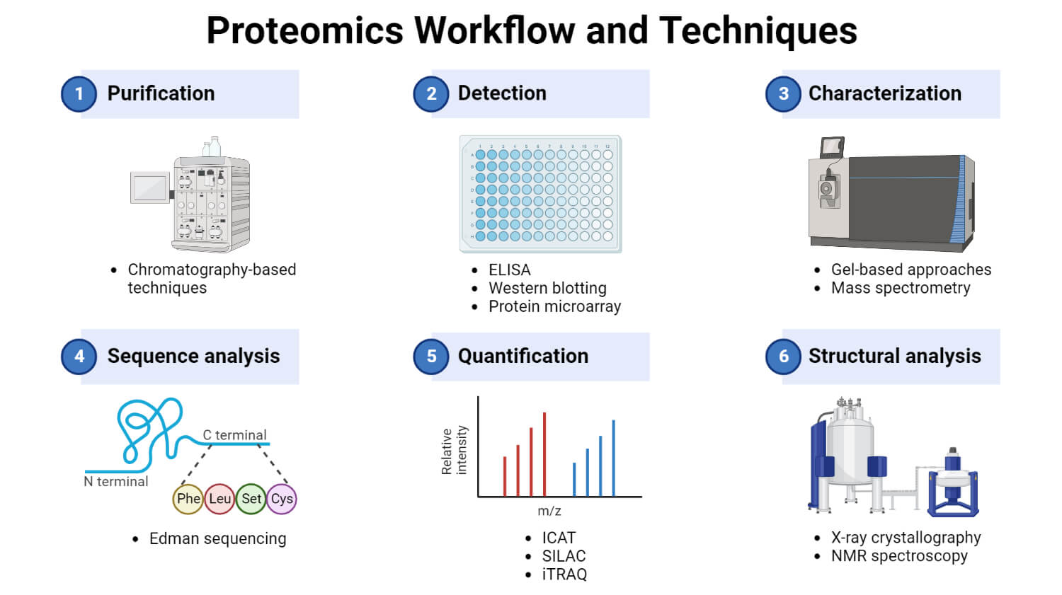 Proteomics Types Methods Steps Applications