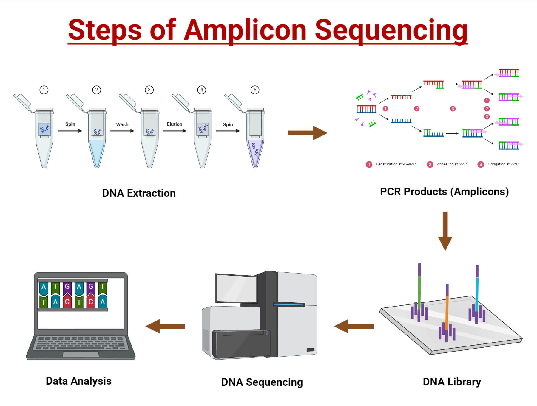 Comparative Sequencing Performance Between Amplicon Sequencing With