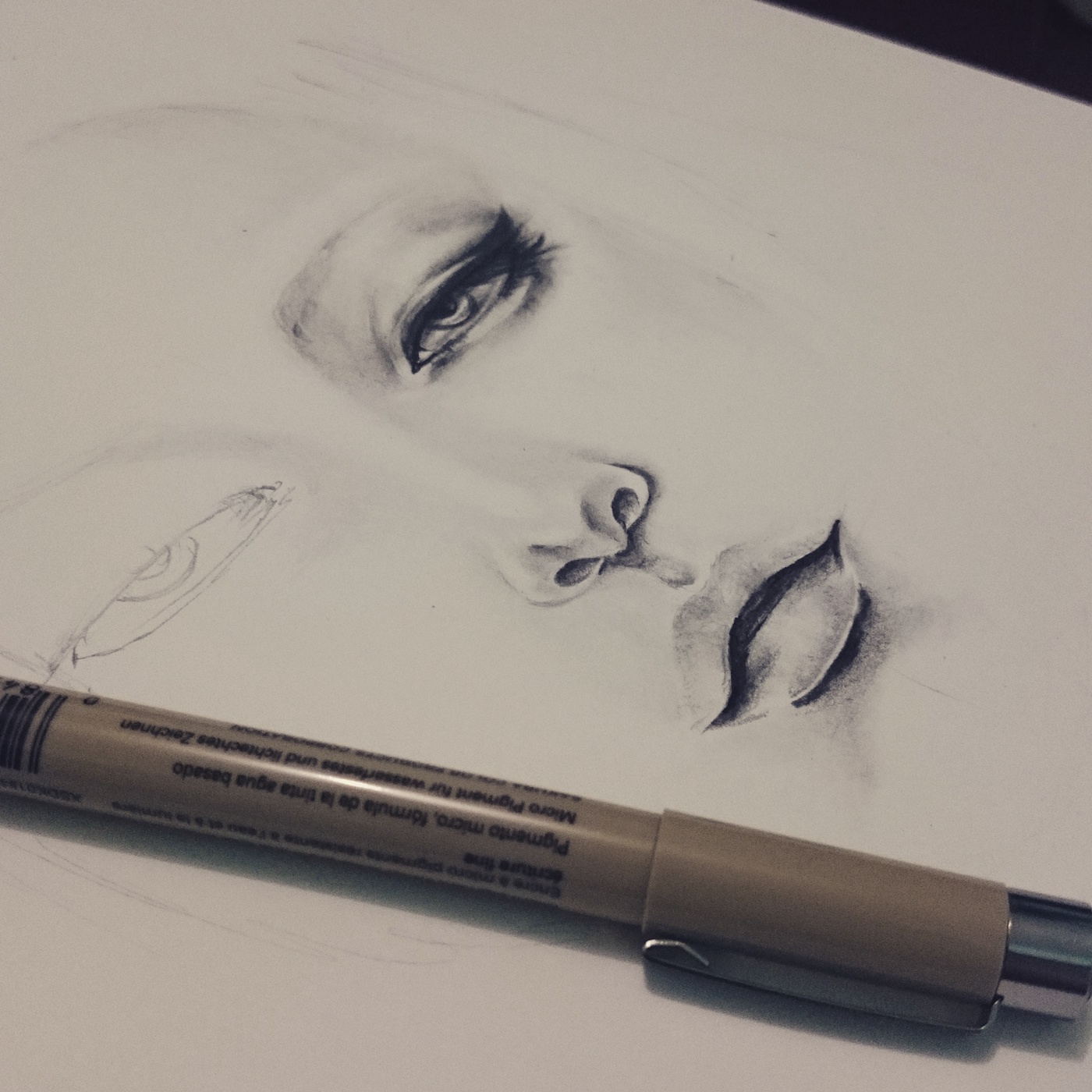 Sketch Of The Replisome Around A Dna Replication Fork The Gp41