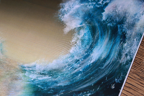 Exodus Study Guide Literature Guide Litcharts