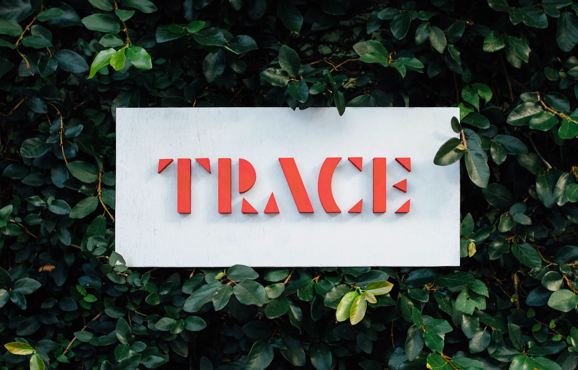 Trace Metal Contamination In The Surface Sediment Of South East Coast