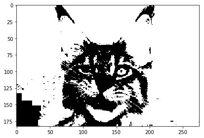 Createimage Reference Processing Org