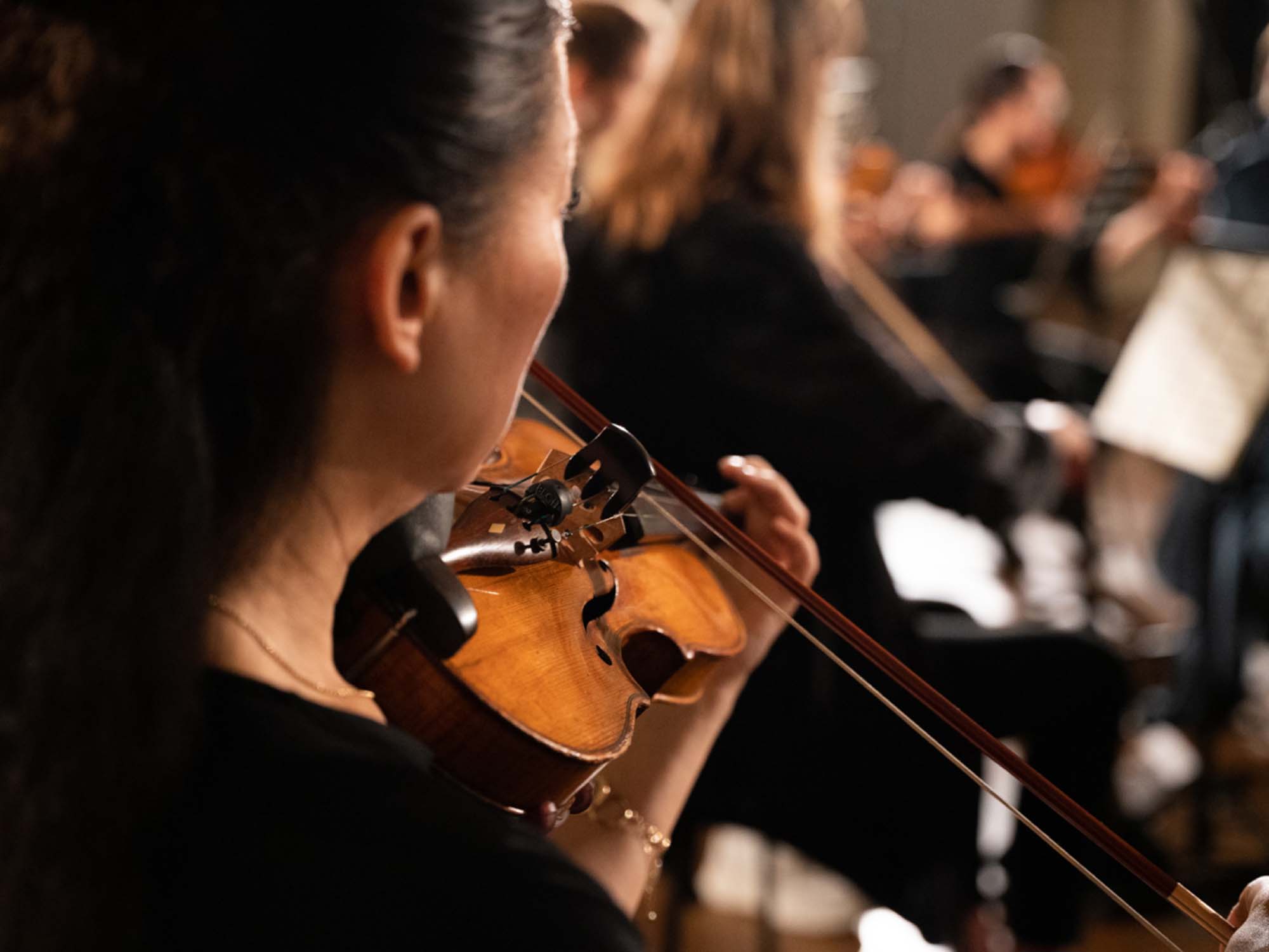 What Are Orchestral Strings Made Of String Materials Explained