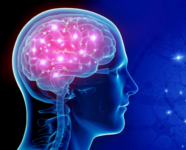 Neuro Fuzzy Approach For Fault Location And Diagnosis Using Online