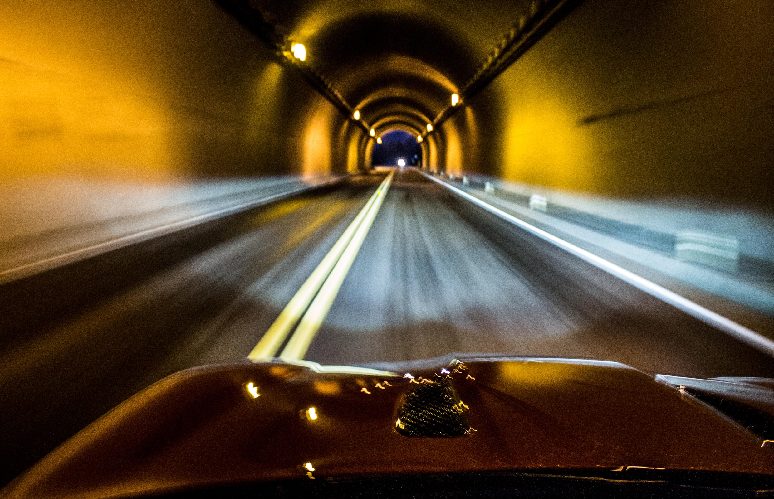 Tunel Assay Kit Roche