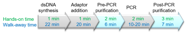 Ngs Dna Fragmentation Library Prep Kit 2 Hour Protocol