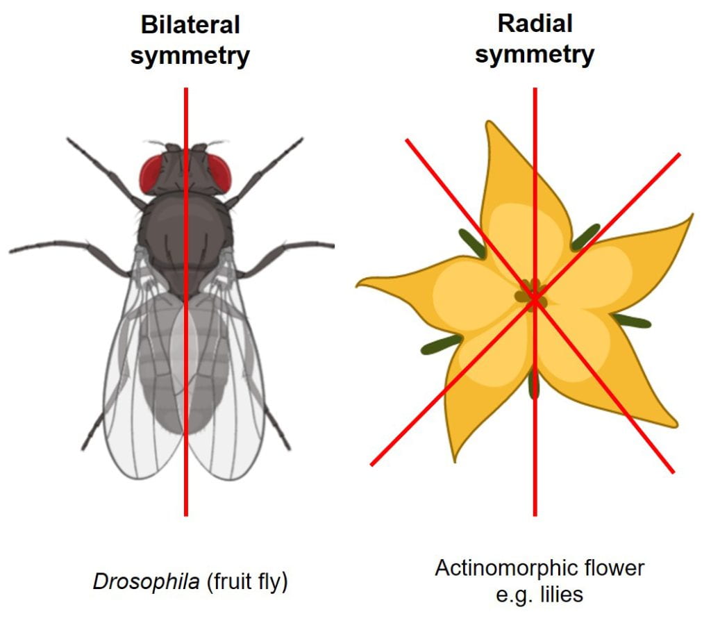 Us Bilateral Trade Agreements