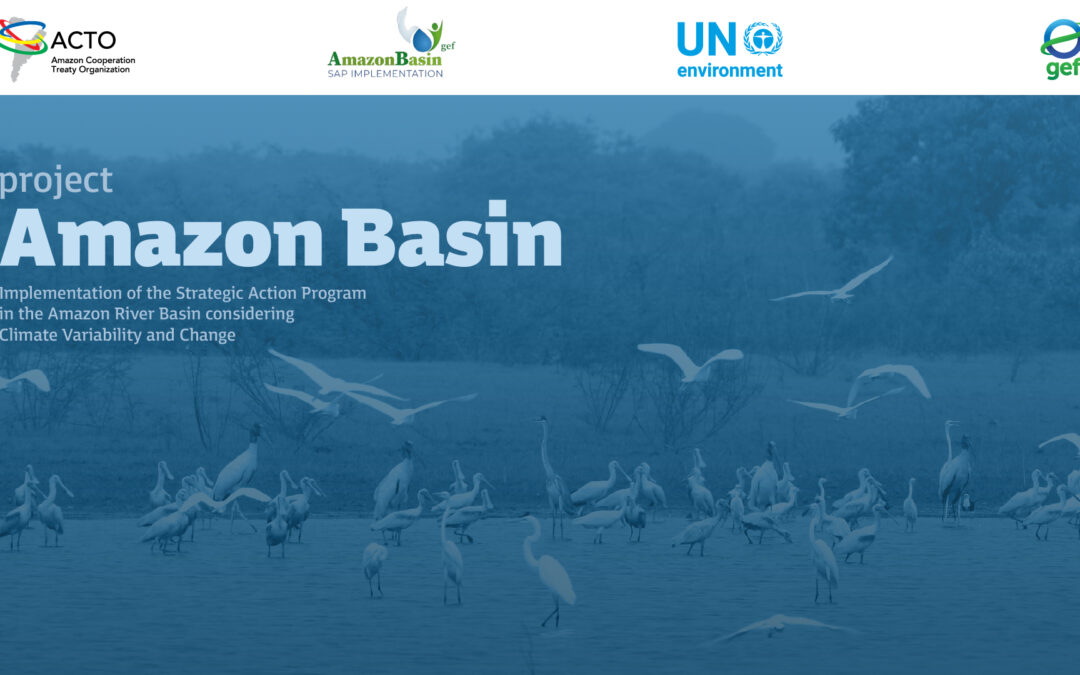 The Regional Program Of Biological Diversity For The Amazon Basin