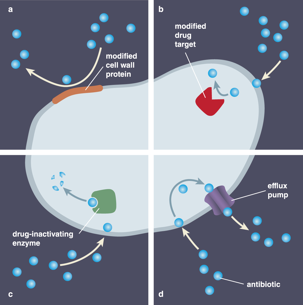 The Resistance Fandom Walkthrough Fandom