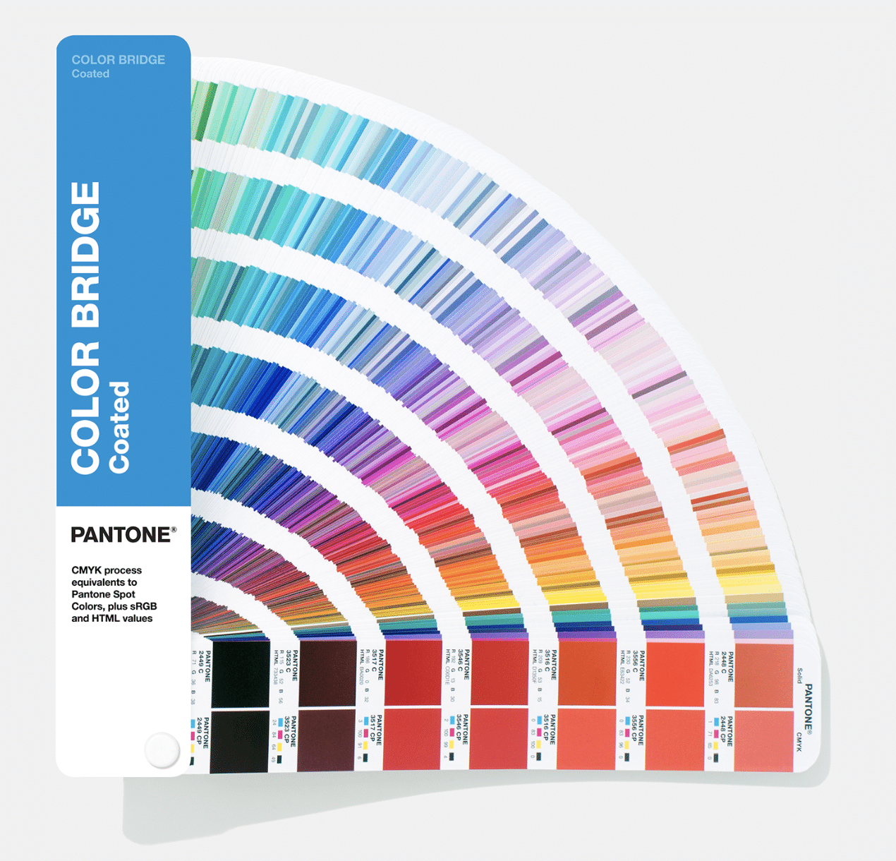 Pantone® Uk Pantone Skintone Guide