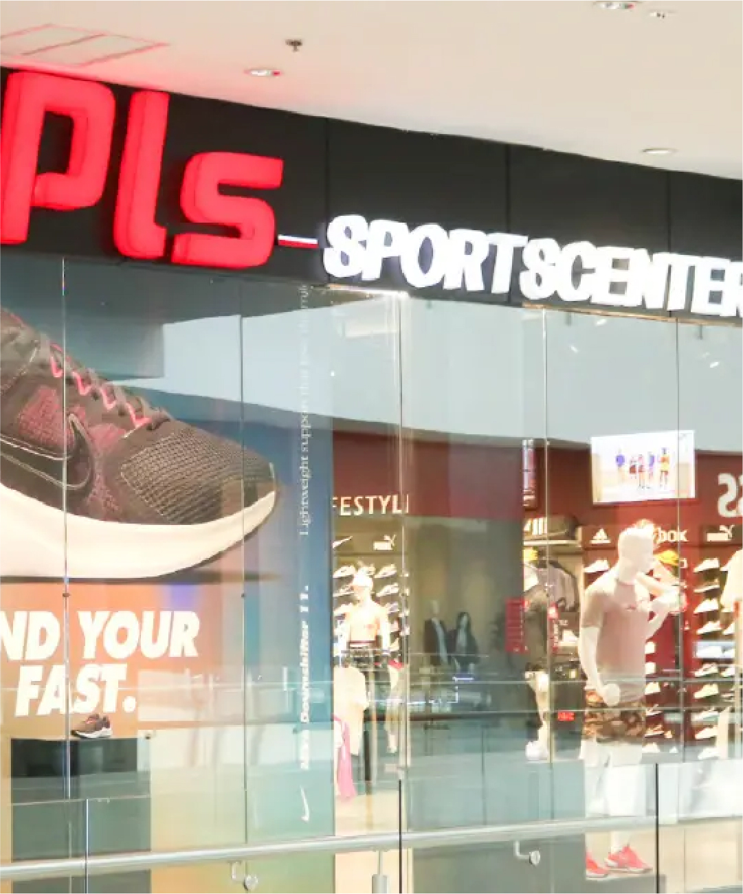 Pls 312 Probability And Mendelian Genetics Part 1 And Lab 4 Pedigree