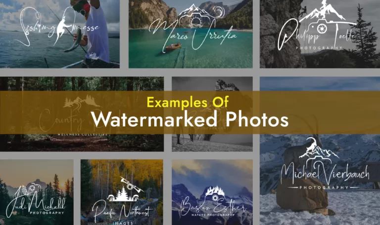 1500 Watermark Pictures Download Free Images On Unsplash