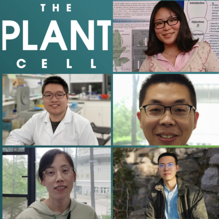 Plantae Presents How To Read A Scientific Paper