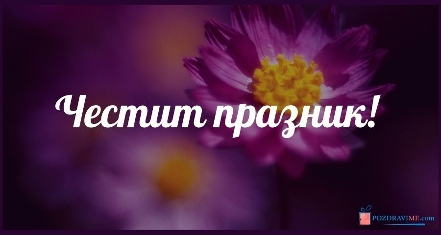 Cvety Kartinki I Izobrazenia