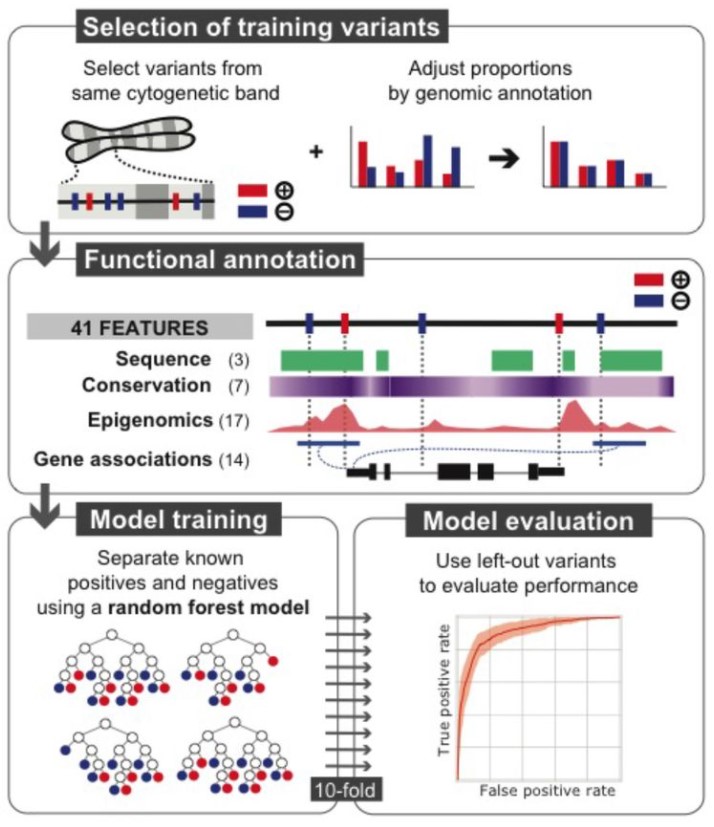 Overview Of Methods That Can Be Applied To Characterize The Non Coding