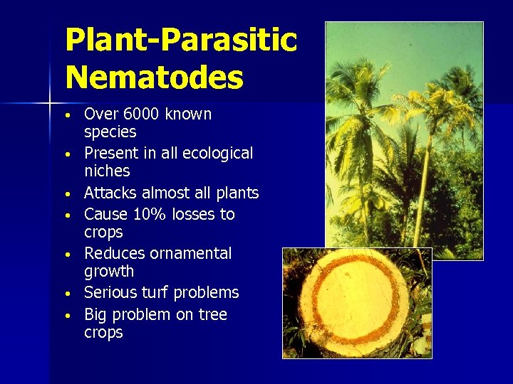 Effect Of Soil Treatments On Plant Parasitic Nematodes And Root