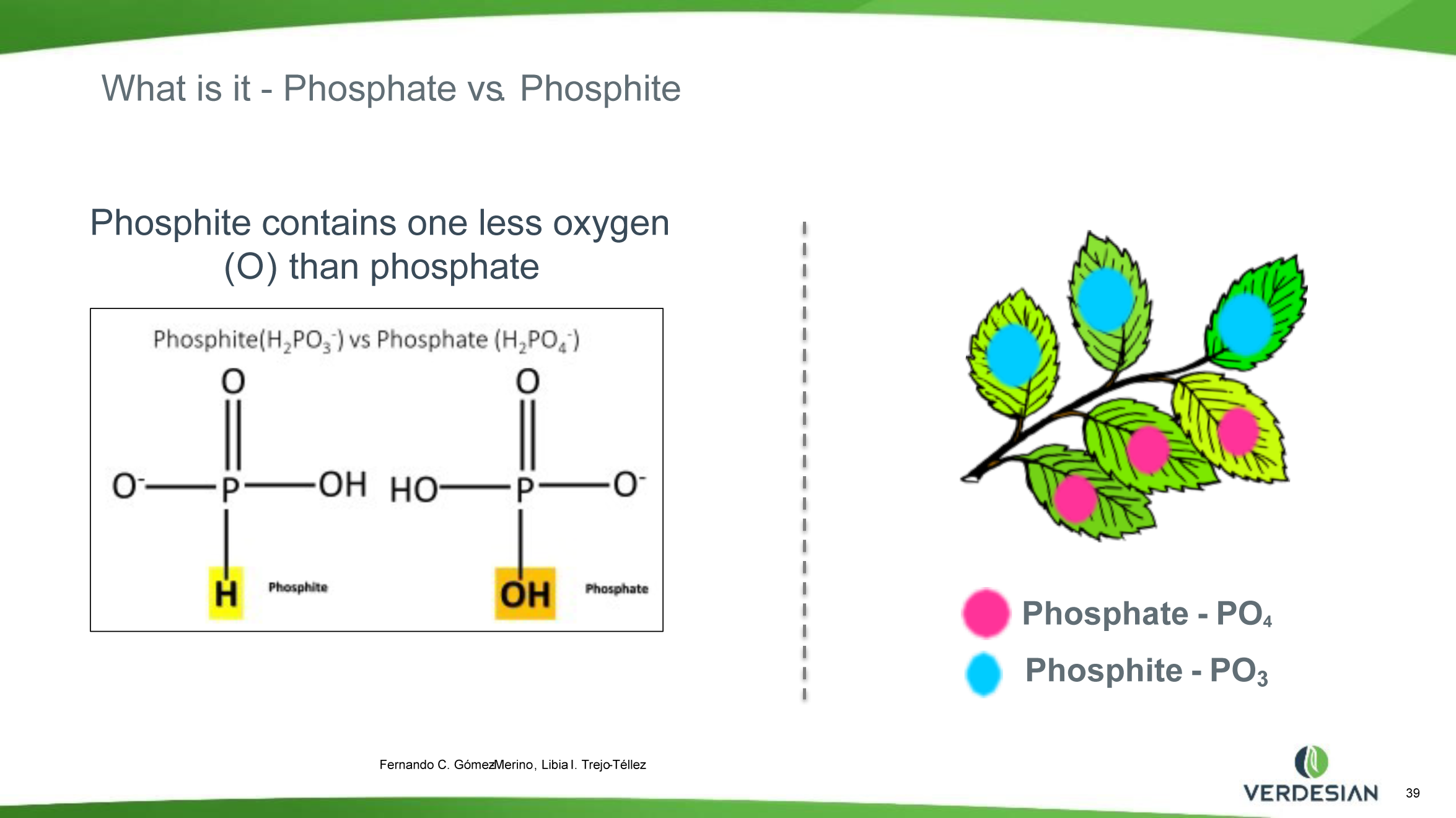 Phosphate Group Nitrogenous Base Pentose Sugar