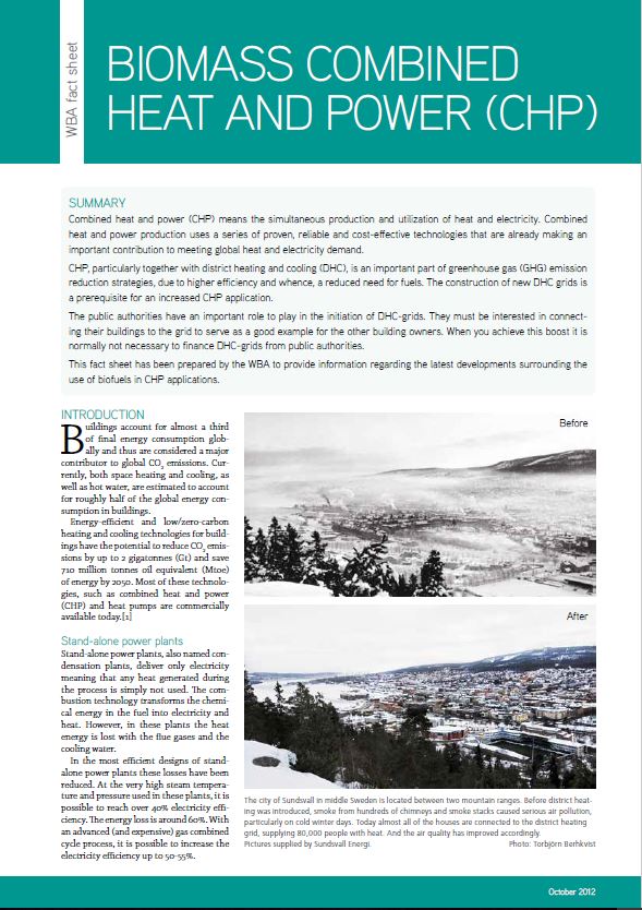 Biomass Fired Heat Power Plants Chp Host Group