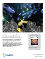 Pitt Research Featured On December Cover Of Environmental Science Nano
