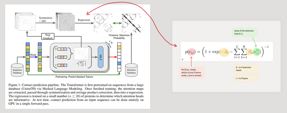 Esm 3 Protein Language Model