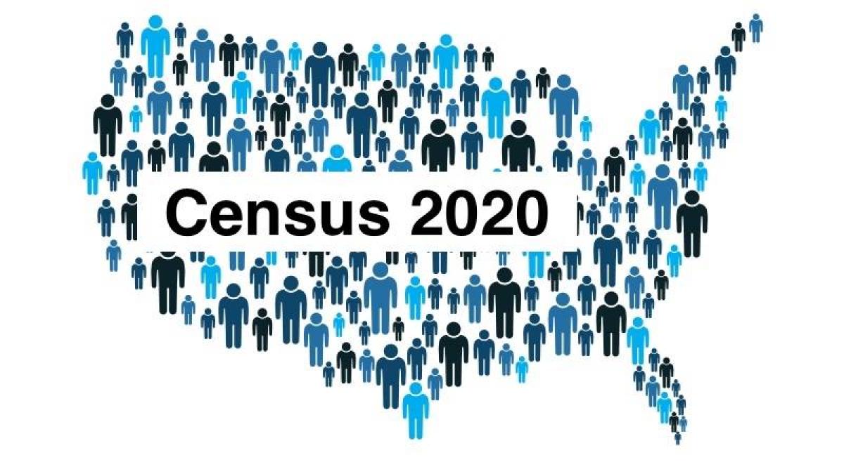 Census Img Dictionary Wiki Fandom