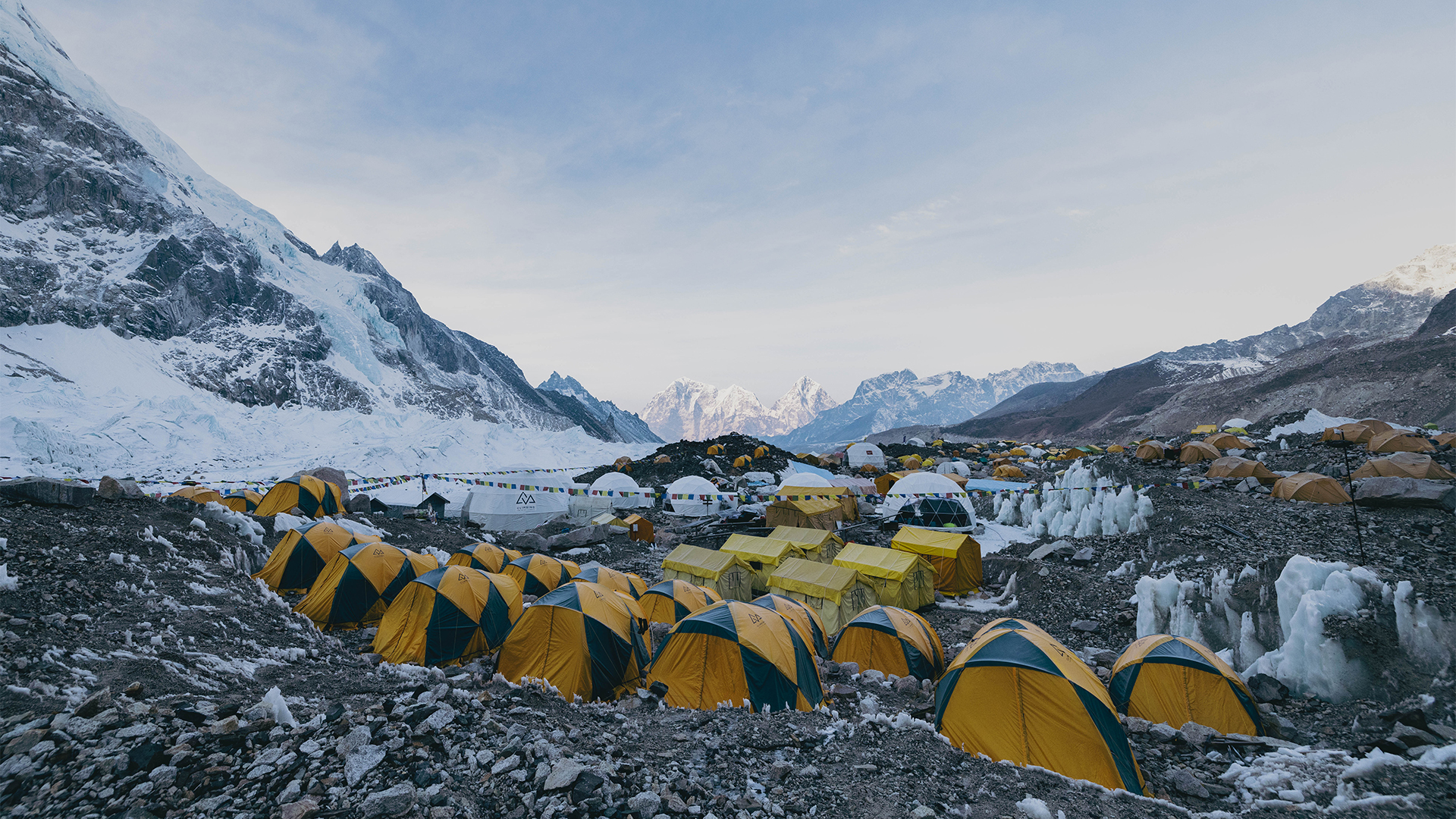 Camp Signaling Pathway Cusabio