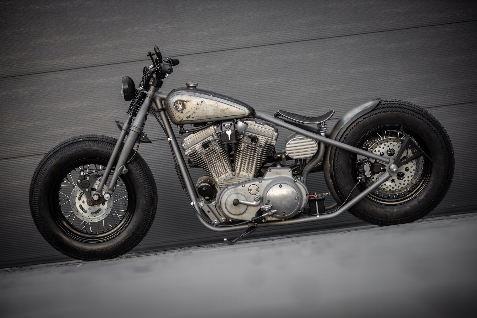 Custom Plasmid Maps 2 Biorender Science Templates