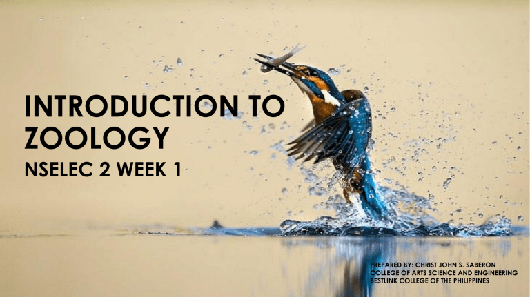 Genzoo Reviewer Lesson 1 4 Lesson 1 Zoology It S History Recent