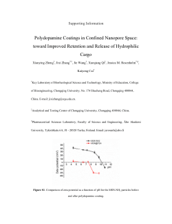 Polydopamine Coatings In Confined Nanopore Space Toward Improved