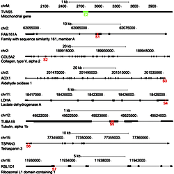 Genomic Locations Of Exonic Regulatory Elements Positions Of Fragments